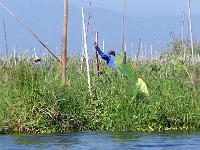 4 - Lac Inle - Pindaya - Kalaw (51)